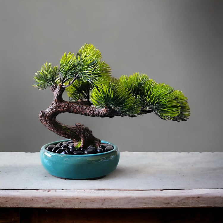 Zen Decor: Serenity and Minimalist Living