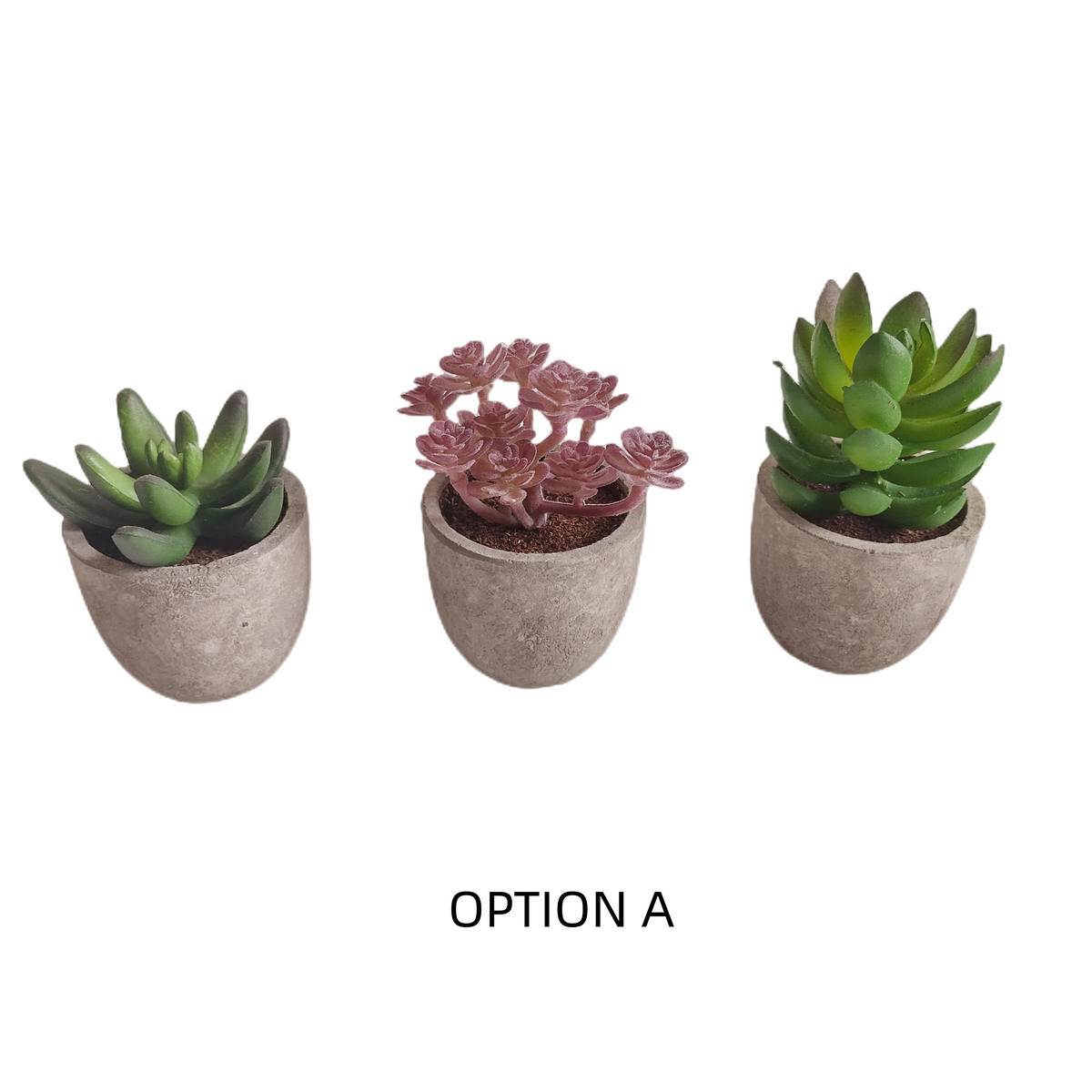 Artificial Plants and Flowers
